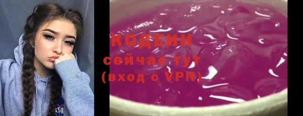 шишки Грязовец