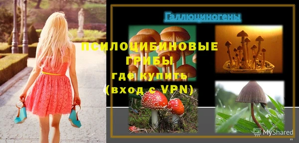 мяу мяу мука Ростов