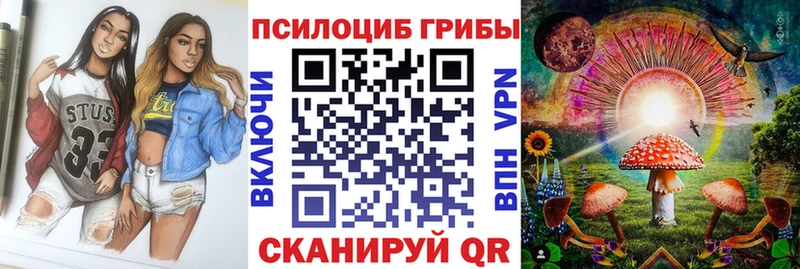 Псилоцибиновые грибы прущие грибы  Холм 