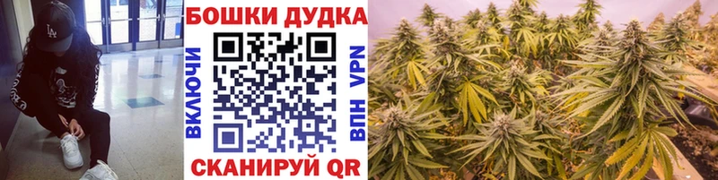 где купить наркоту  Холм  Бошки марихуана планчик 